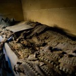 Crypte abandonnée