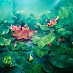 JeeYoung Lee