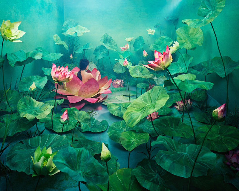 JeeYoung Lee