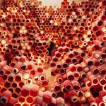 JeeYoung Lee