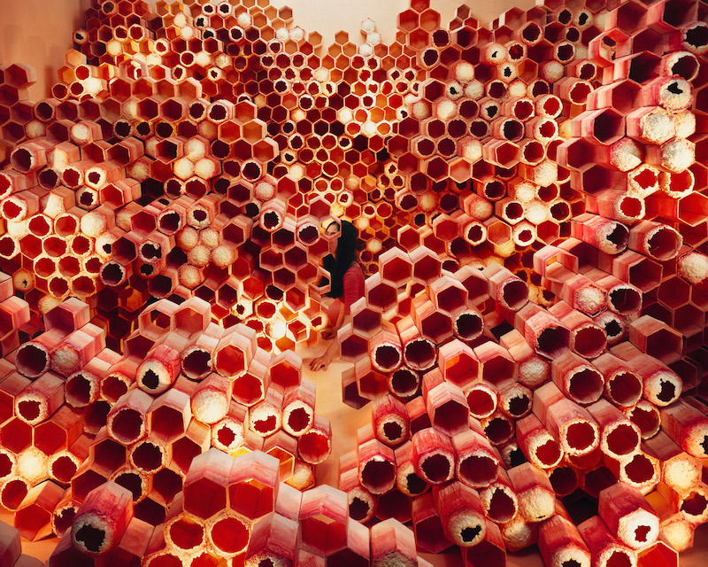 JeeYoung Lee