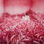 JeeYoung Lee