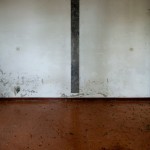 asile abandonné