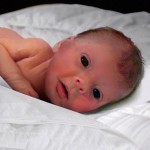 Baby Sophia Steffel