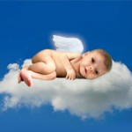 Baby Sophia Steffel