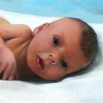Baby Sophia Steffel