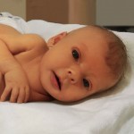 Baby Sophia Steffel
