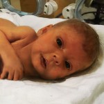 Baby Sophia Steffel