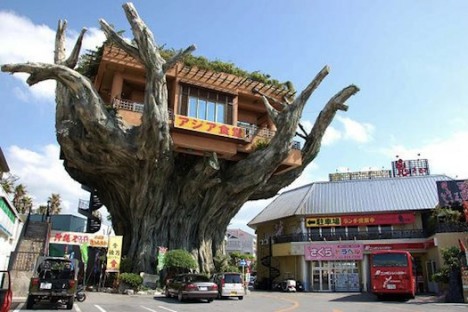 restaurant Treehouse