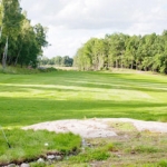 ile Tiger Woods