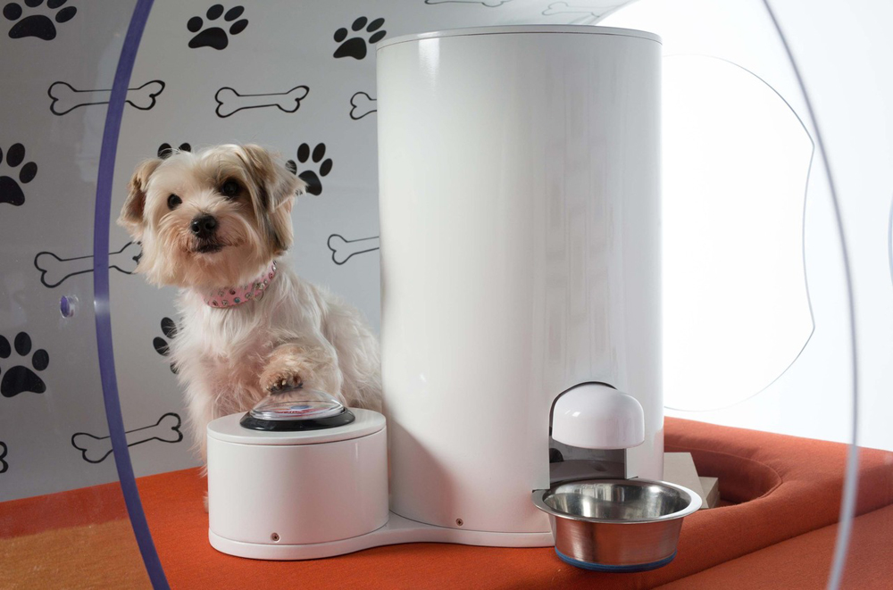 Samsung Dream Doghouse