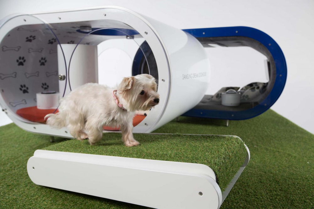 Samsung Dream Doghouse