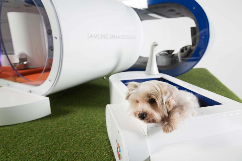 Samsung Dream Doghouse