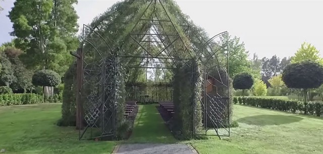 Brian Cox église arbre