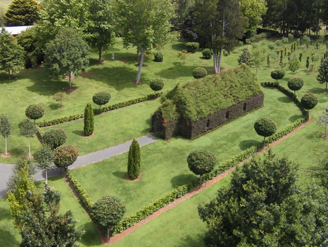 Brian Cox église arbre