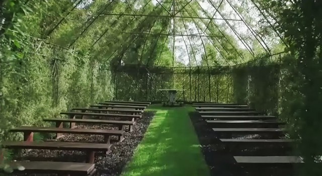 Brian Cox église arbre