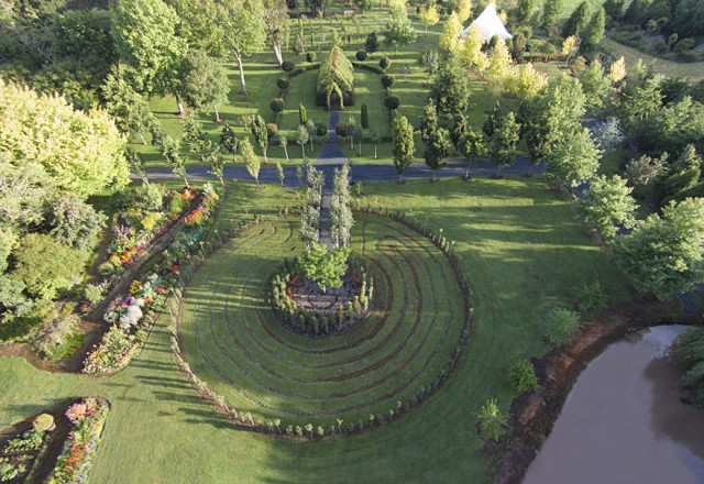 Brian Cox église arbre