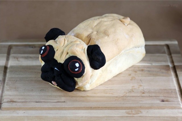 Pugloaf pain chien Lou Lou P