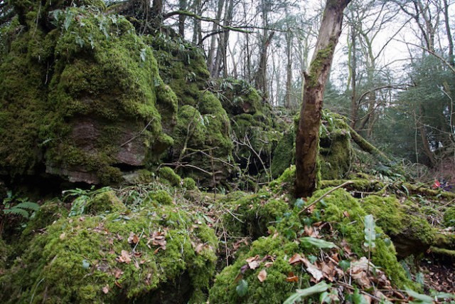 lieux de tournage du nouveau Star Wars Puzzlewood