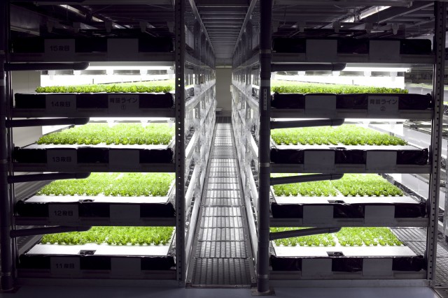 Veggie Factory ferme verticale robots