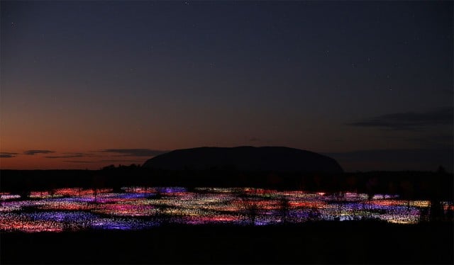 Bruce Munro installations lumineuses Field Of Light