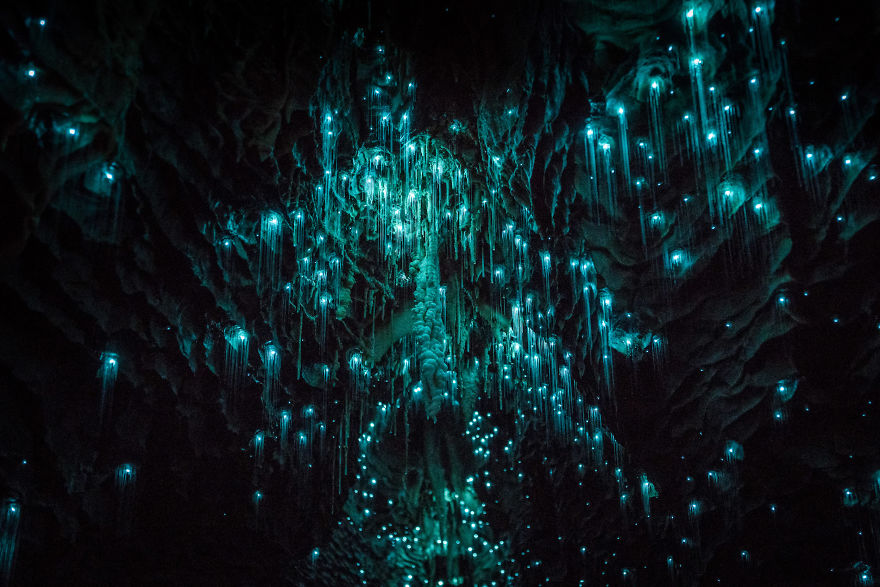 grottes de Waitomo Shaun Jeffers