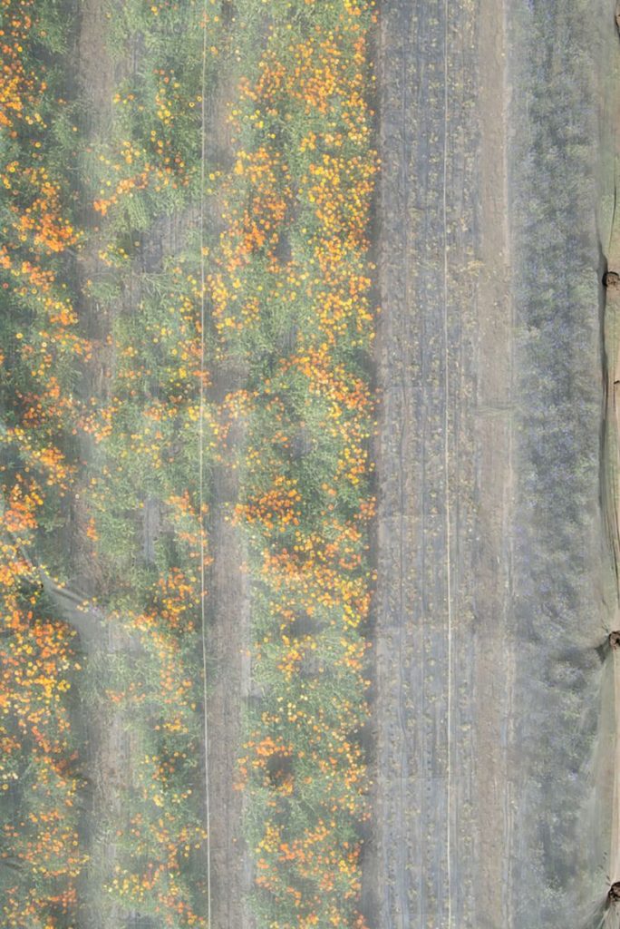 photos de drones Stephan Zirwes