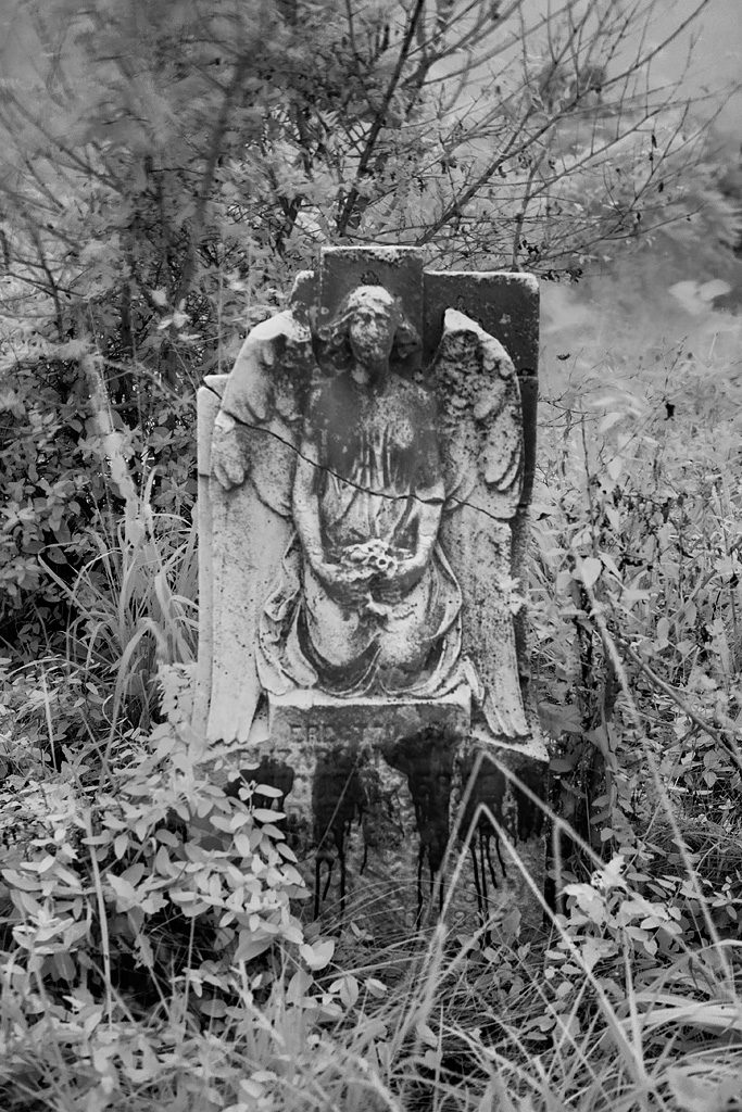 cimetière abandonné Mount Moriah