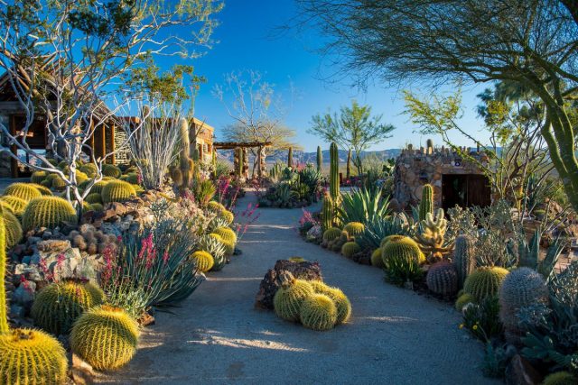 Mojave Rock Ranch