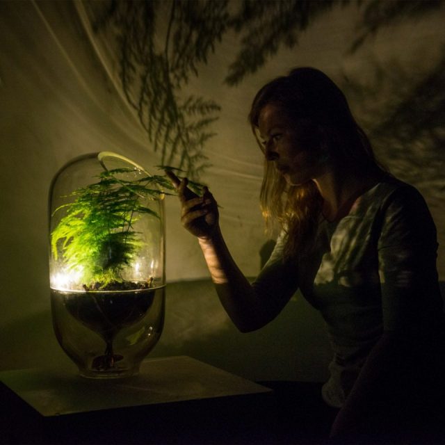 Living Light lampes photosynthèse des plantes Ermi van Oers