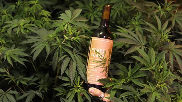 Rebel Coast Winery dévoile un vin infusé à la marijuana