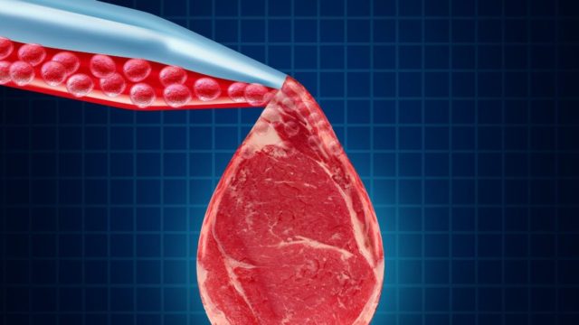 La viande de laboratoire n'est pas de la viande selon l'état du Missouri