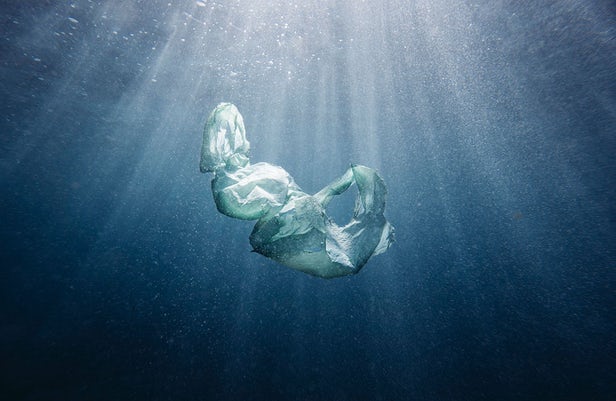 The Nature Conservancy – Découvrez les gagnants de cet étonnant concours de photographie