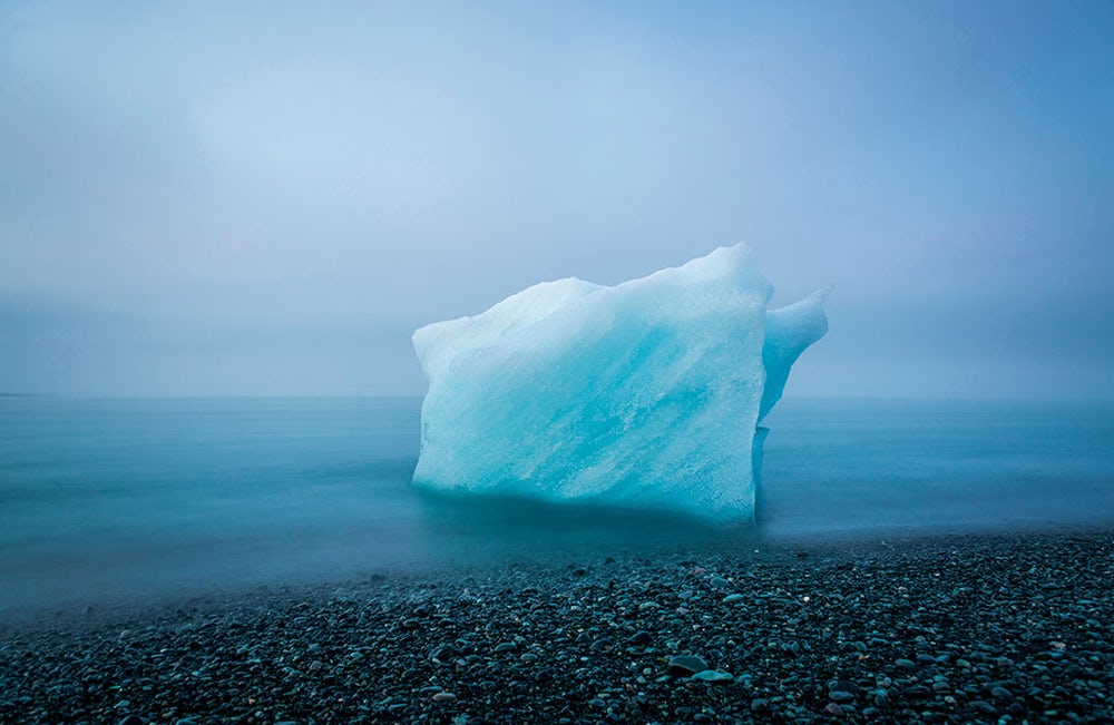 The Nature Conservancy – Découvrez les gagnants de cet étonnant concours de photographie