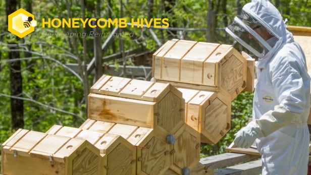 Honeycomb Hives – Des hexa-ruches modulaires meilleures pour les  abeilles