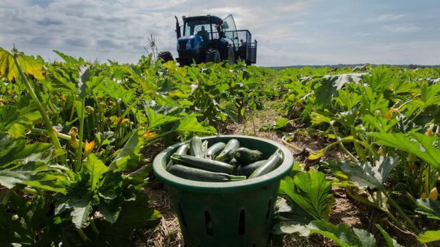 Pénurie de produits frais pour que tout le monde puisse bien manger