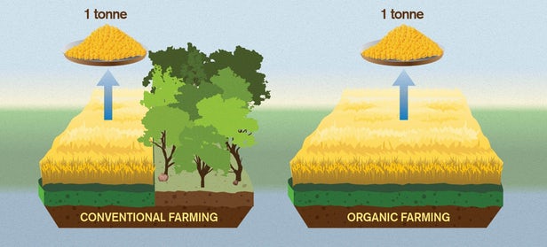 La vérité qui dérange sur l'agriculture biologique et son impact environnemental 1