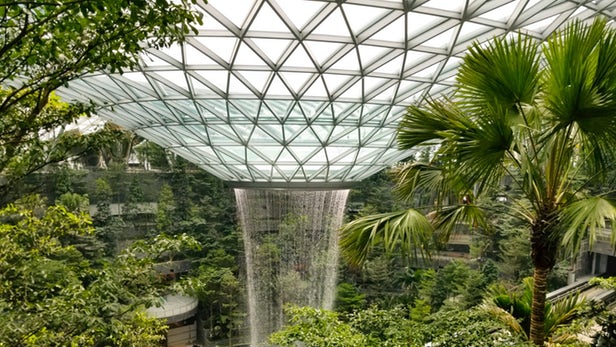 Safdie Architects installe la plus haute cascade d'intérieur au monde dans l'aéroport Jewel Changi de Singapour