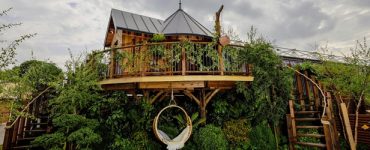 Blue Forest dévoile sa cabane dans les arbres préfabriquée de luxe
