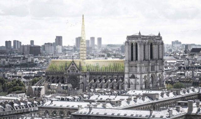 Une serre sur le toit de Notre Dame