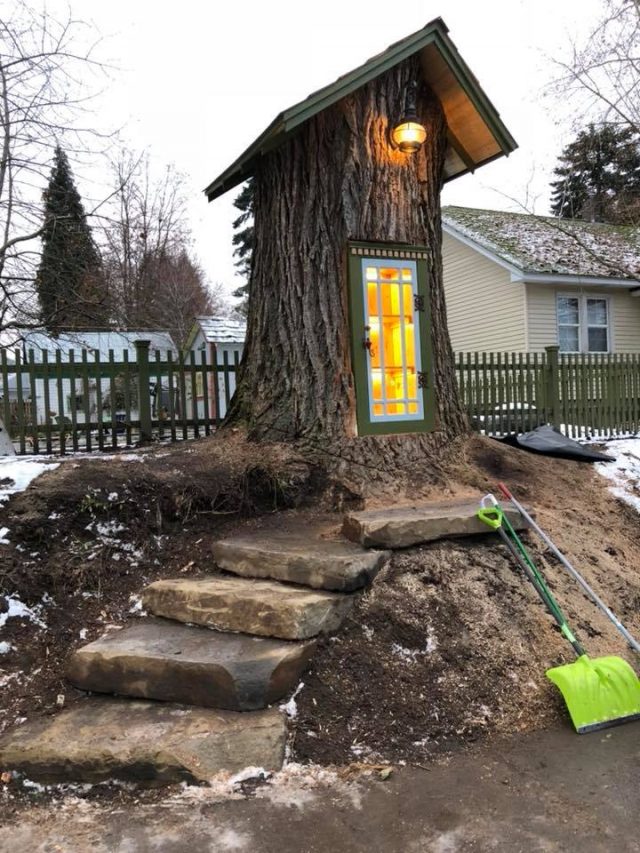 Un arbre centenaire transformé en une bibliothèque magique 1