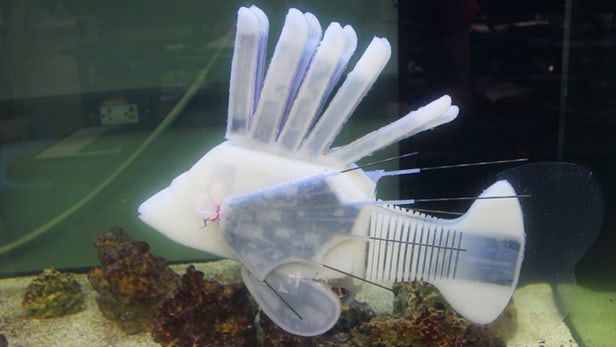 Robo-fish est alimenté par un fluide de batterie semblable à du sang