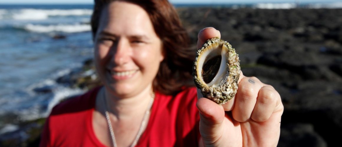 Un escargot de mer pourrait aider lutter contre le cancer