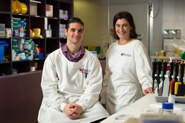 Des antibiotiques hybrides surpuissants créés à la Queensland University of Technology