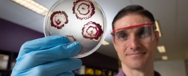 Des antibiotiques hybrides surpuissants créés à la Queensland University of Technology