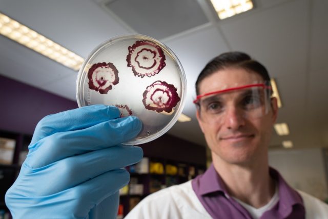 Des antibiotiques hybrides surpuissants créés à la Queensland University of Technology