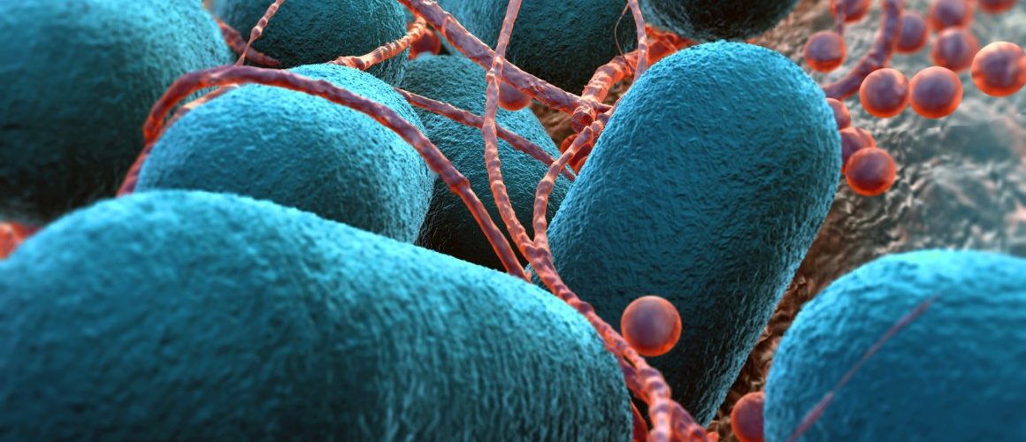 L'évolution dirigée apprend aux bactéries à manger du dioxyde de carbone