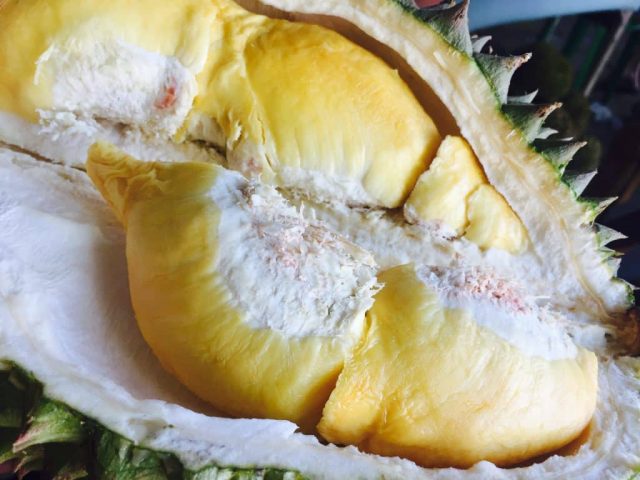 Le durian – Ce qu'il faut savoir sur le fruit le plus odorant du monde 1