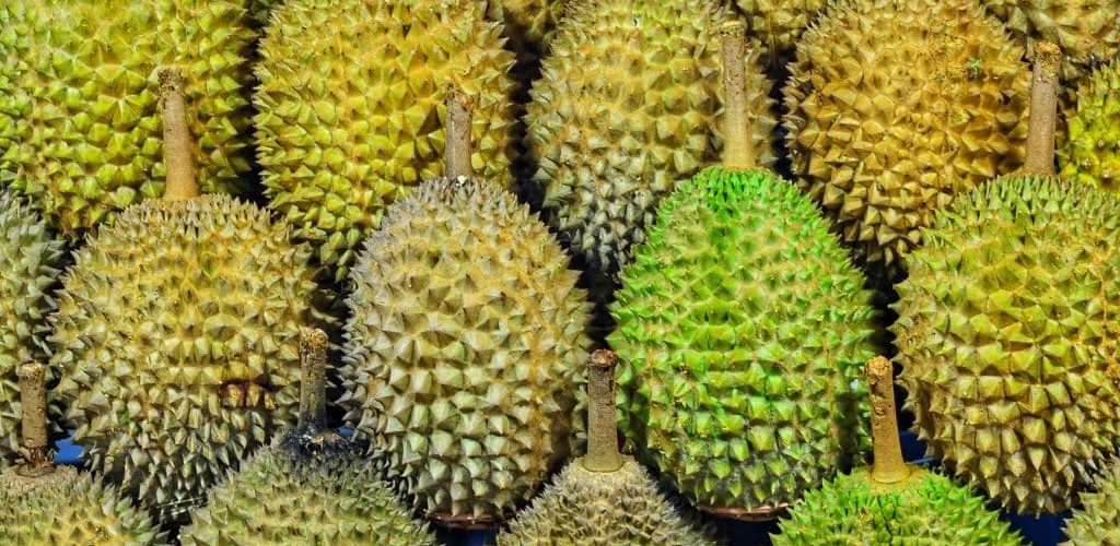 Le durian – Ce qu'il faut savoir sur le fruit le plus odorant du monde