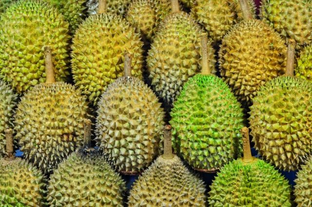 Le durian – Ce qu'il faut savoir sur le fruit le plus odorant du monde
